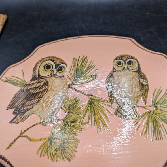 Vintage Owl Decorative Wall Hanging with Pine Branch Design - Picture 3 of 6